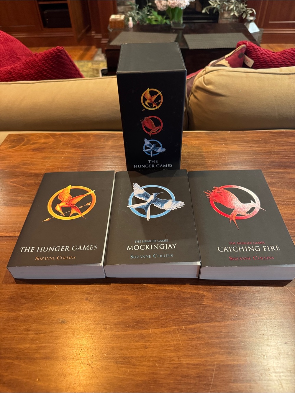 Hunger Games Trilogy Paperback Box Set Suzanne Collins Mocking Jay Catching Fire - Picture 2 of 8